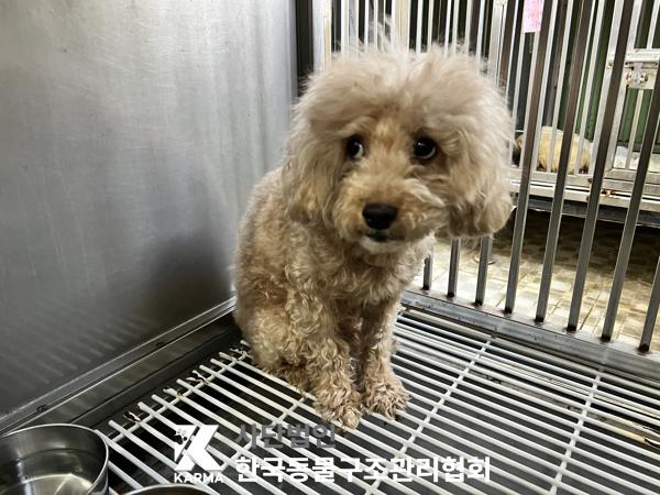 한국동물구조관리협회_411315202500571